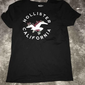  - En hollister tröja med ett jätte fint blommigt tryck på bröstet 80kr+30kr i frakt 