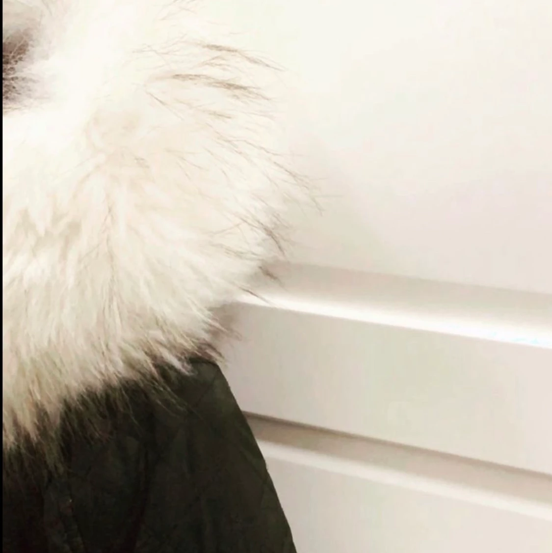 Rock & blue jacka  - 91