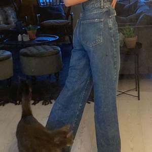 Skit snygga jeans köpte på Gina Tricot. Sitter jätte bra ( jag är 174cm lång och har oftast storlek 34-36)