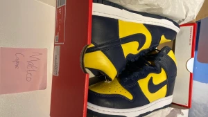 Nike Dunk Michigan - Nike Dunk High Michigan •Oanvända •US 8.5