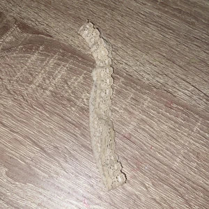 Halsband -  Den är vit, jättefin och passar nästan allt. + frakt 