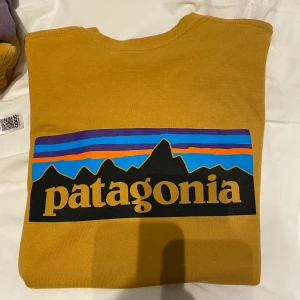 patagonia t-shirt. Frakt tillkommer på 45 kr😊 - Patagonia t-shirt som knappt är använd. storlek xs men oversized modell