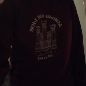 Sweatshirt  - Assnygg sweatshirt i vinrött i bra skick. 