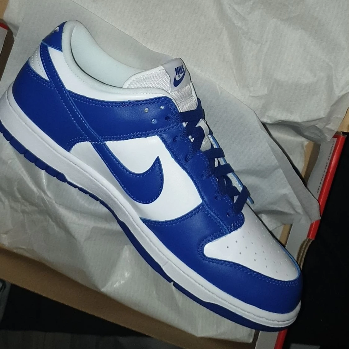 Dunk low Kentucky ds