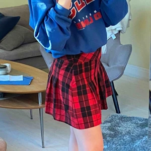  - En svart /röd rutig kjol . Skit gullig ! Storlek 36 men modellen har 27 i midja passar till mer än vad man tror och den har inga hål eller sönder någon stans ! (Köparen betalar frakt!)