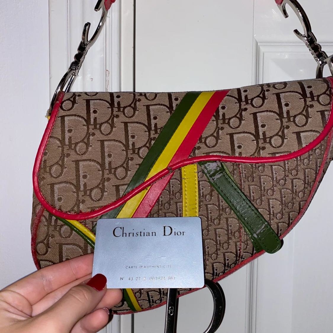DIOR RASTA SADDLE BAG - 91
