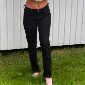 Svarta Levis jeans nypris 1000 kr. 30/30 i storlek (inte jag på bilden)