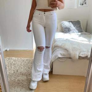 Säljer vita, högmidjade, bootcut jeans från Dr. Denim. Köpt på Salt för 500kr. Dessa är extremt sköna och stretchiga, sitter så snyggt på och är inte genomskinliga! Köparen står för frakten🤍