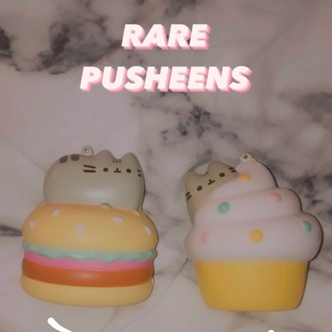 Pusheen squishys