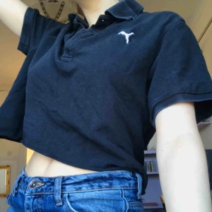  - Croppad pike från puma