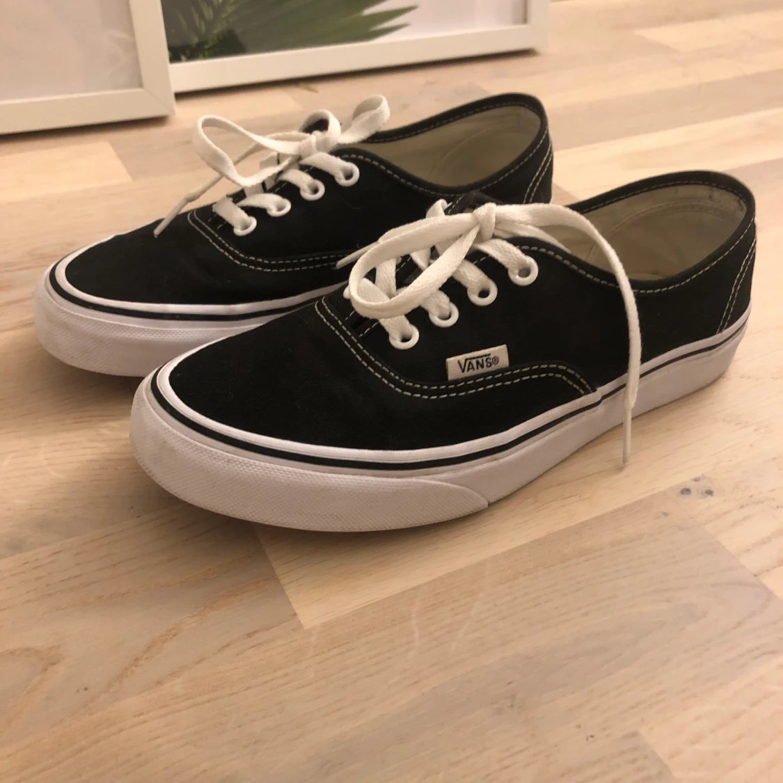Vans Authentic