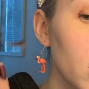  - Handgjorda djur-örhängen!