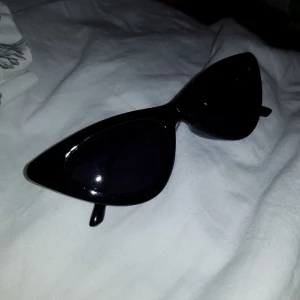  - Helt nya SKITSNYGGA brillor. Cateye  Frakt 10 kr 