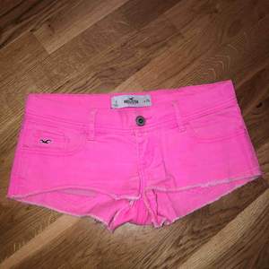 Rosa hollistershorts