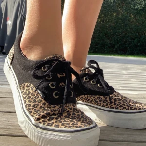 Vans - Sparsamt använd vans