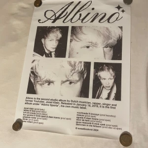 Albino poster - svartvit poster utav Joost, albino studios