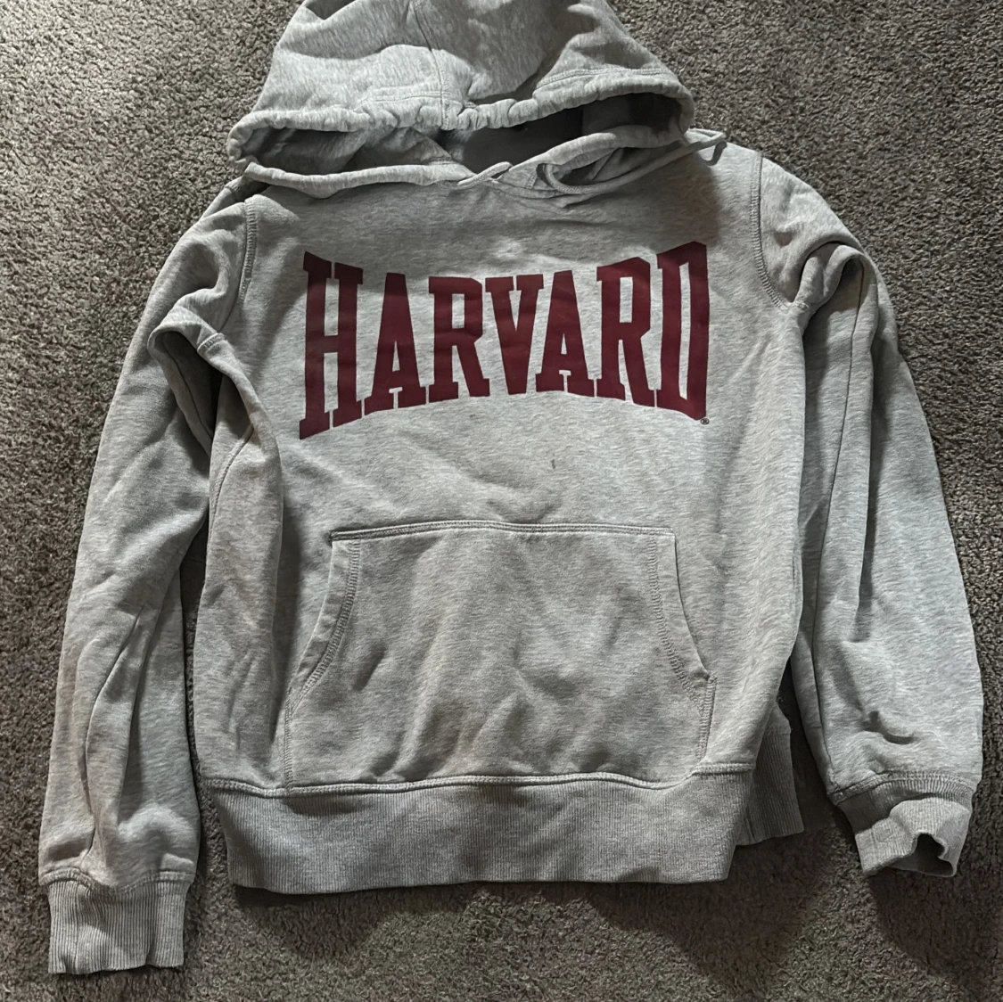 Grå Harvard hoodie med huva