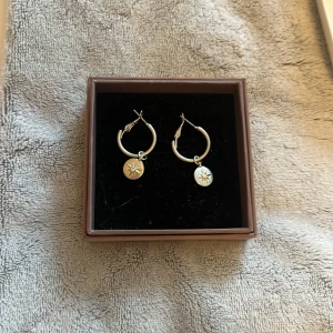 Silverfärgade örhängen med stjärndetalj - Säljer ett par snygga silverfärgade örhängen med rund hängande berlock som har en liten stjärndetalj. Kommer i en fin ask och passar perfekt för att ge din look lite extra glans.