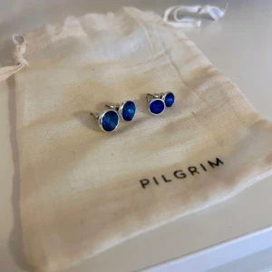 Pilgrim örhängen  - Örhängen från pilgrim som kan bäras i par eller enskilt💙  Nyligen köpta men aldrig använda tyvärr, original pris 250kr. De finns inte kvar i butik!