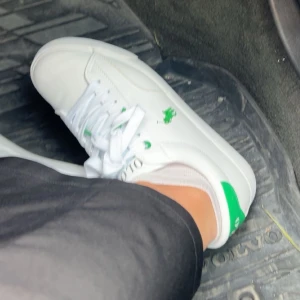 Ralph Lauren skor  - Snygga vita sneakers från polo med gröna detaljer och klassisk snörning. Helt nya!!!