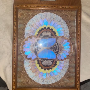 Antik - Det här är inte en bok, utan en konstnärlig tavla med äkta  fjärilsvingar och fjädrar arrangerade i ett färgstarkt, symmetriskt mönster. Perfekt för dig som vill ha unik och naturinspirerad inredning med wow-faktor. Äkta antik som är värd mer än  500 tusen minst. 