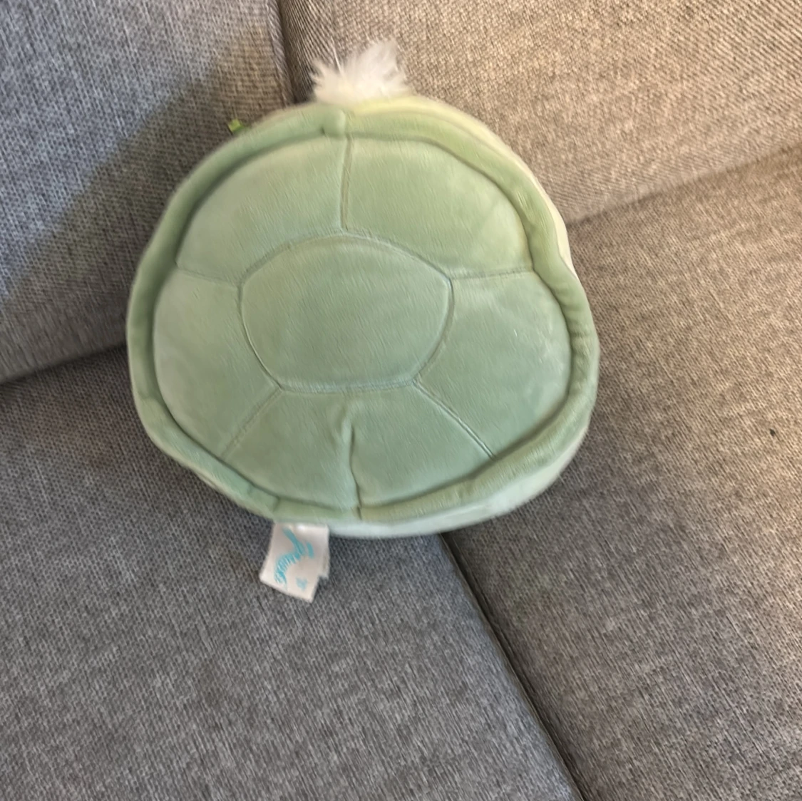 TURTLE SQUISHMALLOW💚 - 2