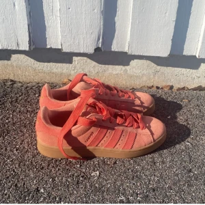 Adidas Campus storlek 43 1/3 - Säljer ett par Adidas Campus i snygg korallrosa mocka och gummisula. Skorna har snörning och guldfärgad Adidas-logga på hälen. Perfekta för dig som vill sticka ut med färg på fötterna! Skulle okså kunna byta ut dom för storlek 41