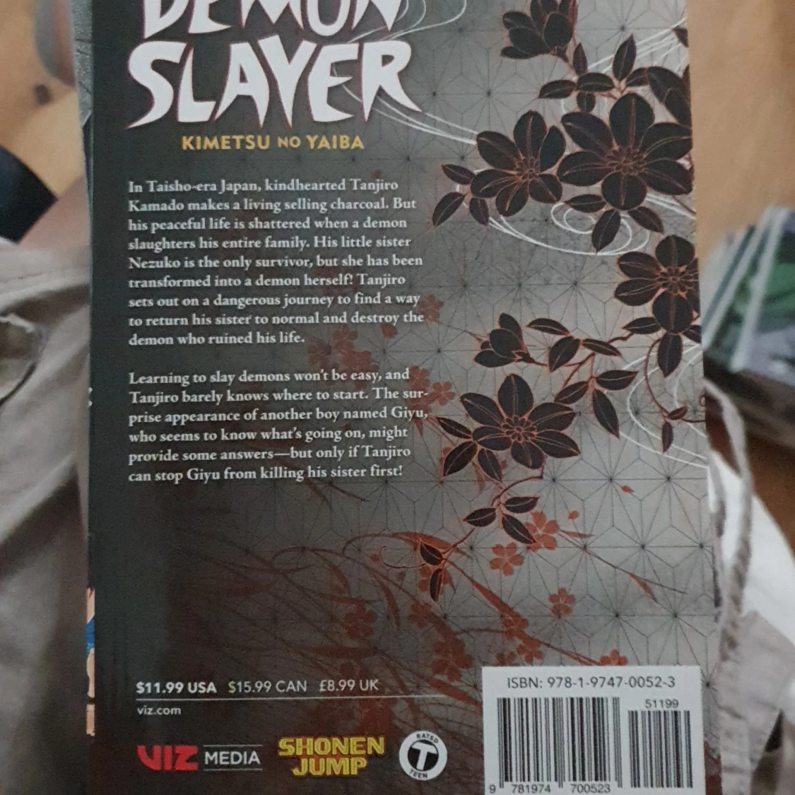 Demon Slayer: Kimetsu no Yaiba Vol. 1 - 1