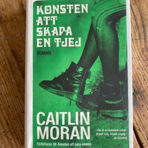 Konsten att skapa en tjej - En roman om fjortonåriga Johanna Morrigan som bestämmer sig för att skapa en ny version av sig själv. Aldrig läst men verkar kul!🥳