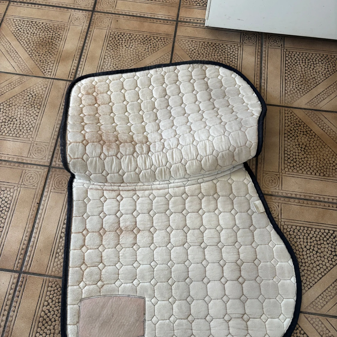 Equiline schabrak  - 3