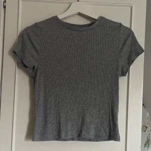 Grå ribbad topp - En enkel och stilren grå ribbad topp med korta ärmar och croppad passform. Perfekt till jeans eller kjol för en avslappnad look. Mjuk och stretchig, passar dig som gillar basic men trendiga plagg.