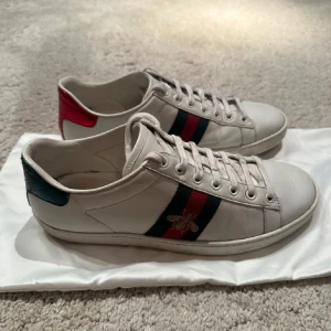 Gucci ace  - Säljer mina gucci ace de är i stl 39-40 har änvänt de lite efter jag tog bilderna men de är fortfarande i bra skick .ingenting med följer.