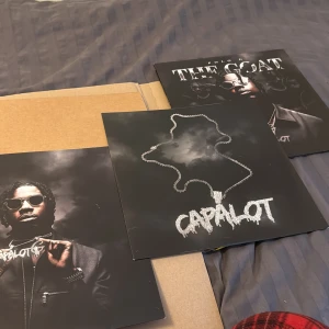 Vinylskiva - The Goat - Säljer en vinylskiva av albumet 'The Goat' med snyggt omslag. Perfekt för samlare eller musikälskare som vill ha något speciellt i sin samling. Skivan har en stilren design och kommer i ett skyddande fodral. EJ ANVÄNT SEN INNAN HELT NYTT SKICK!