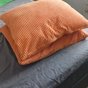 kuddfodral  - Bilderna visar inga böcker utan kuddfodral av modellen GULLKLOCKA från IKEA i grönt och orange. 