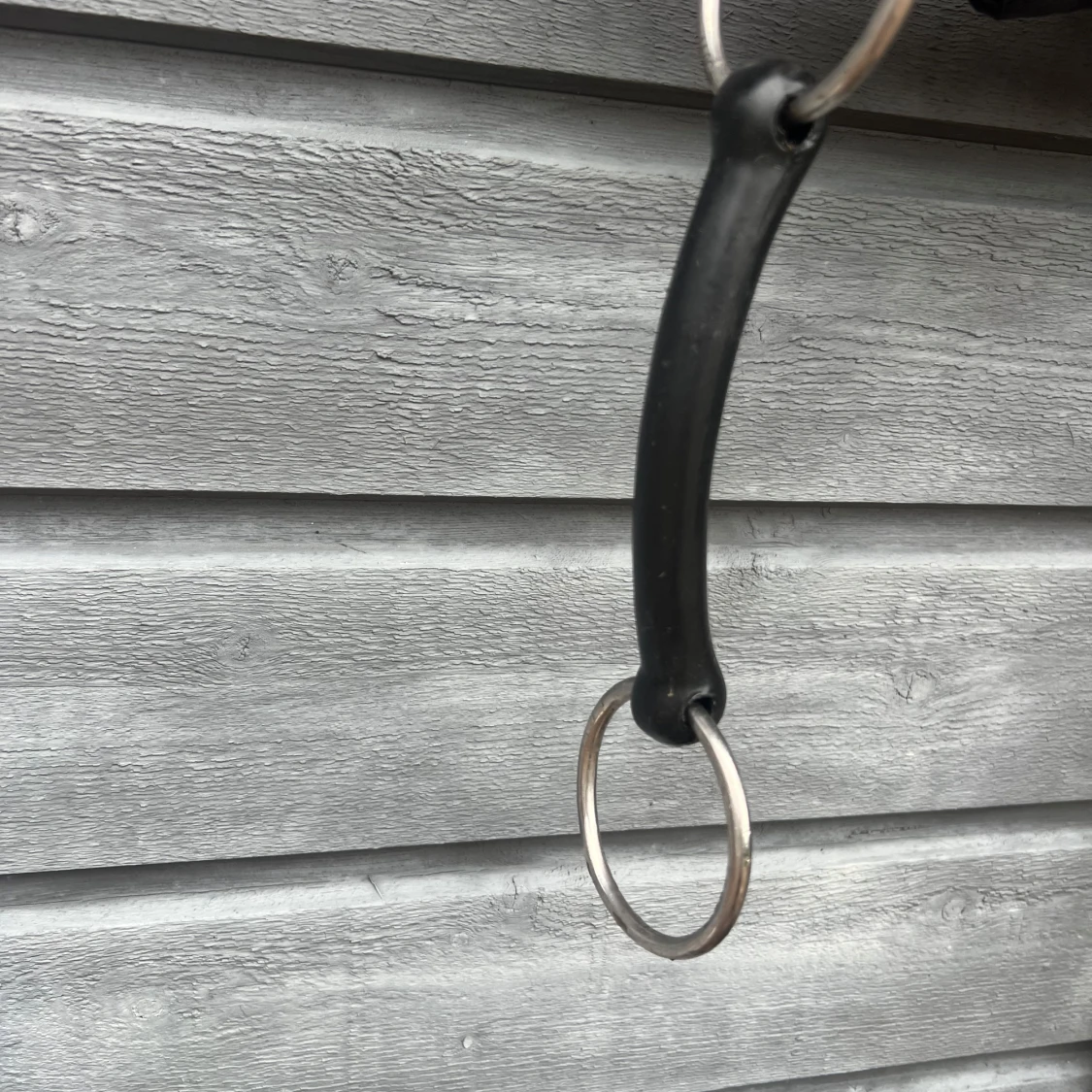 Svart gummi bett häst  - 1