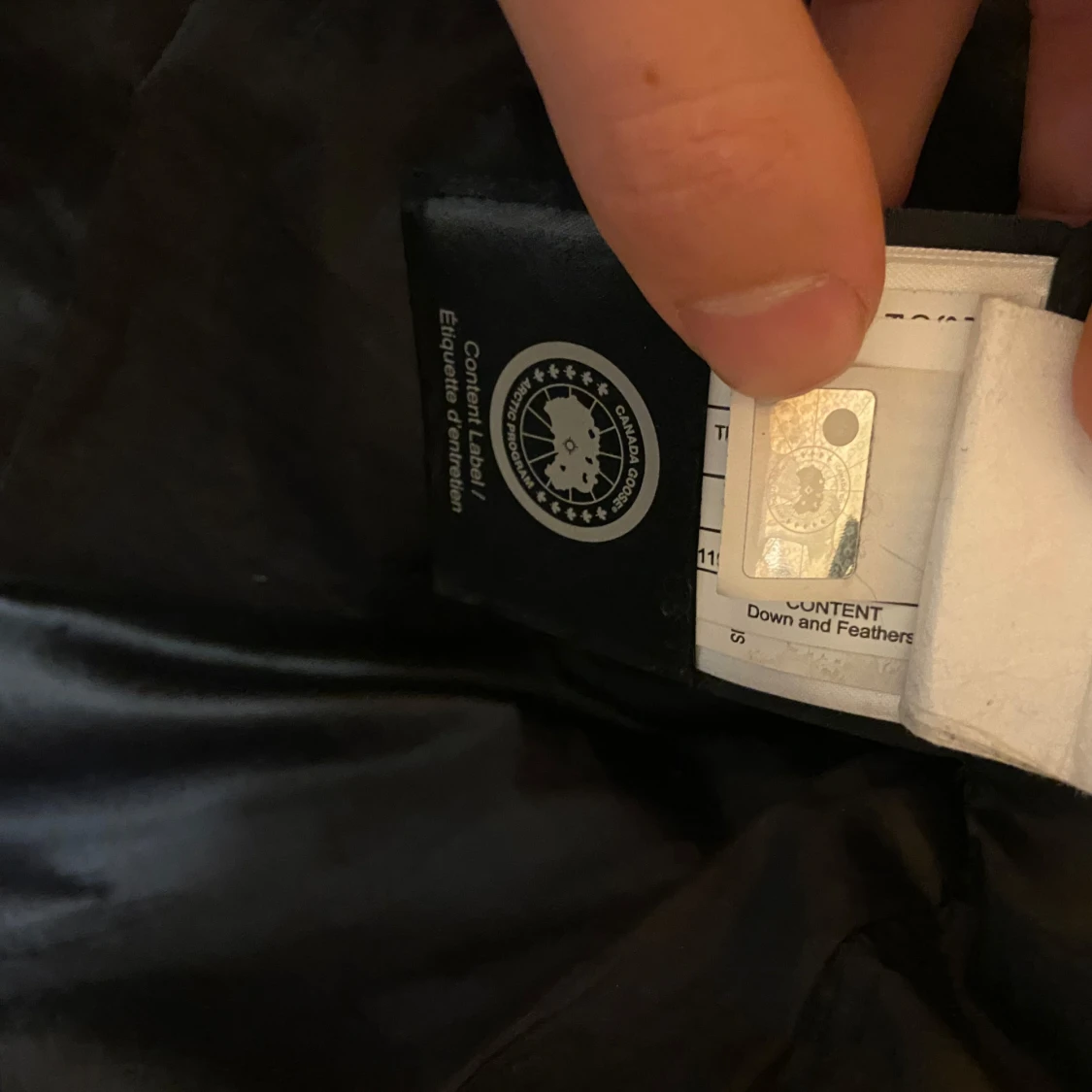 Canada goose Wyndham black label  - 4