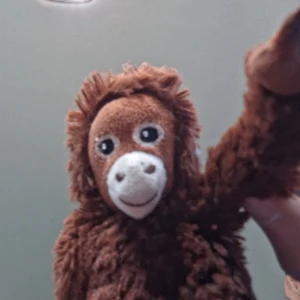 Ikea apa gitt-luice (cp) - En jätte fin grisch apa från ikea vid namn gill-louice. Han är jätte snäll och snygg och får alla brudar. Priset kan ej diskuteras