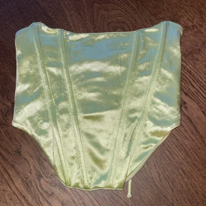 Ljusgrön topp med snörning från Gina Tricot - Säljer en ljusgrön, glansig korsett-topp från Gina Tricot. Modellen är croppad och har snörning bak för justerbar passform. Materialet är syntet och ger en lyxig känsla. Perfekt för fest eller när man vill klä sig lite mer festligt