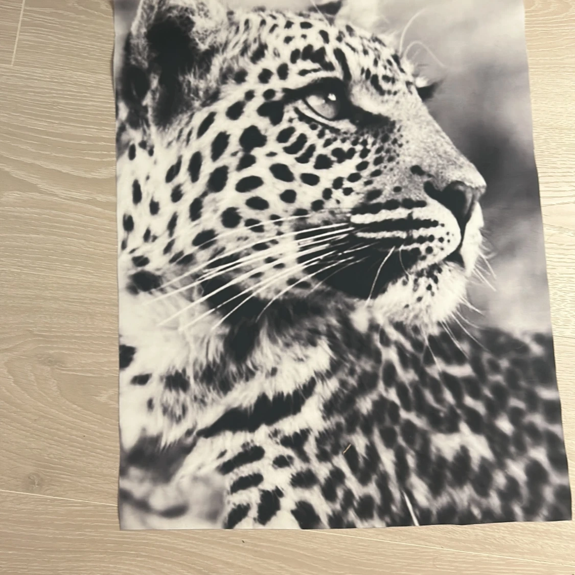 Svartvit tygposter med leopardmotiv - 2