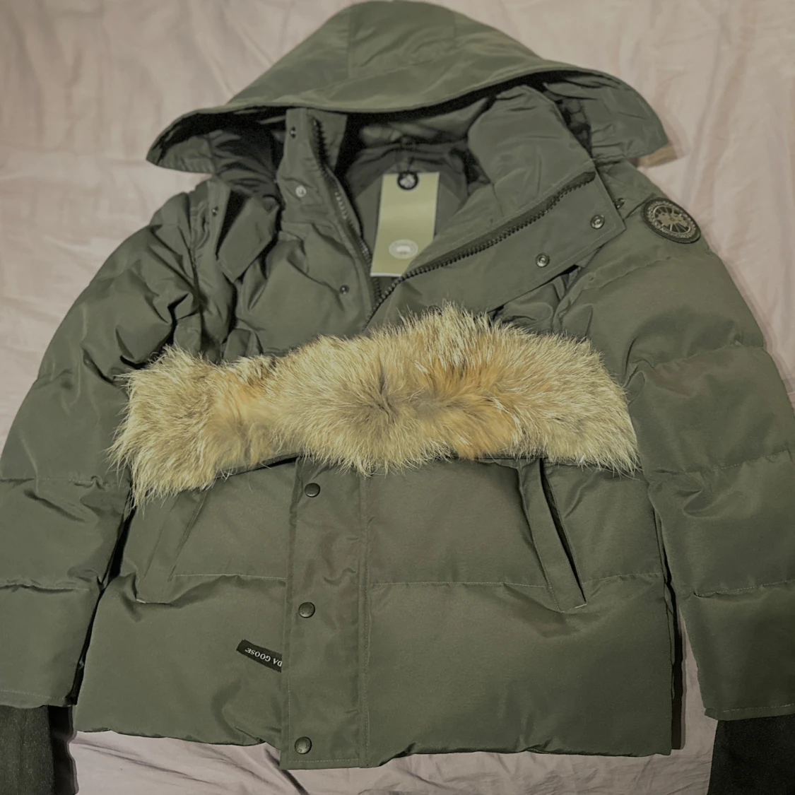 Canada goose black label grå wyndham - 1