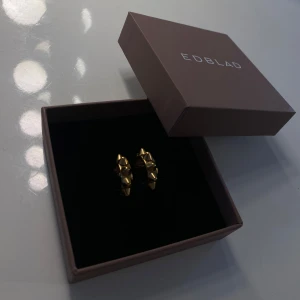 Edblad örhängen guld⭐️ - Ett par guldiga örhängen från Edblad🥂