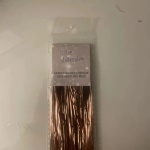 Brunt hår glitter / Hair tensils  - Oanvänd och oöppnad. Bruna/Guld glittriga hår extensions som är enkla att använda, instruktioner finns även på baksidan. Perfekt om man vill piffa till sig hår inför tex en fest!