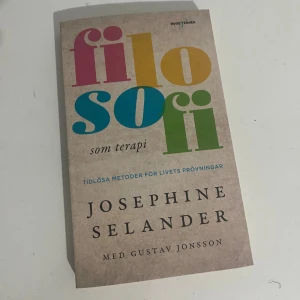 Filosofi som terapi - Upptäck tidlösa metoder för att hantera livets utmaningar! Den här boken guidar dig genom filosofins värld på ett modernt och inspirerande sätt. Perfekt för dig som vill utvecklas och hitta nya perspektiv.