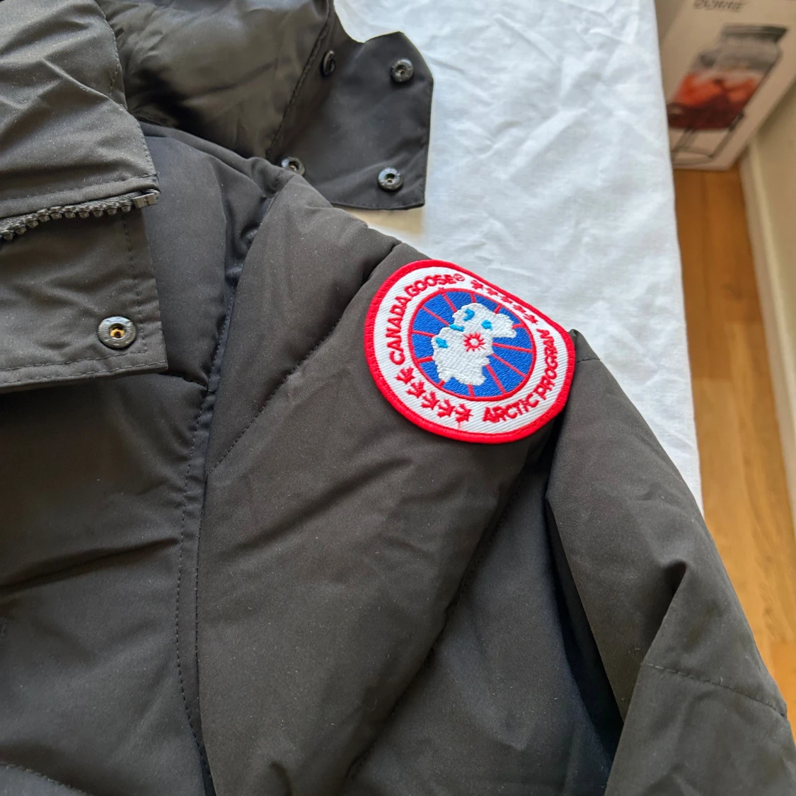 Svart   Canada Goose  - 2