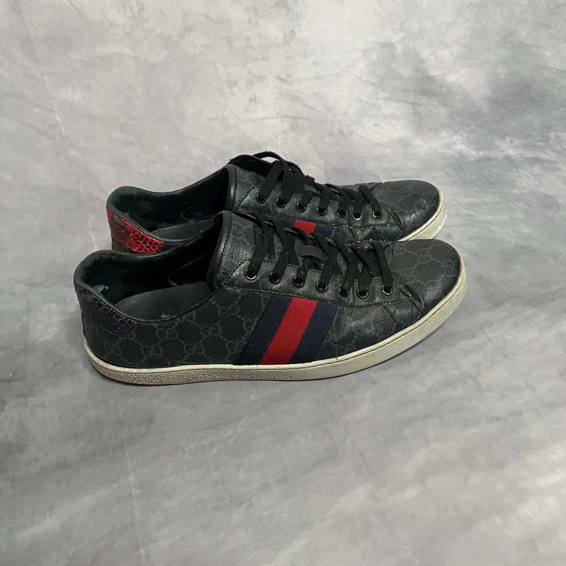 Gucci ace