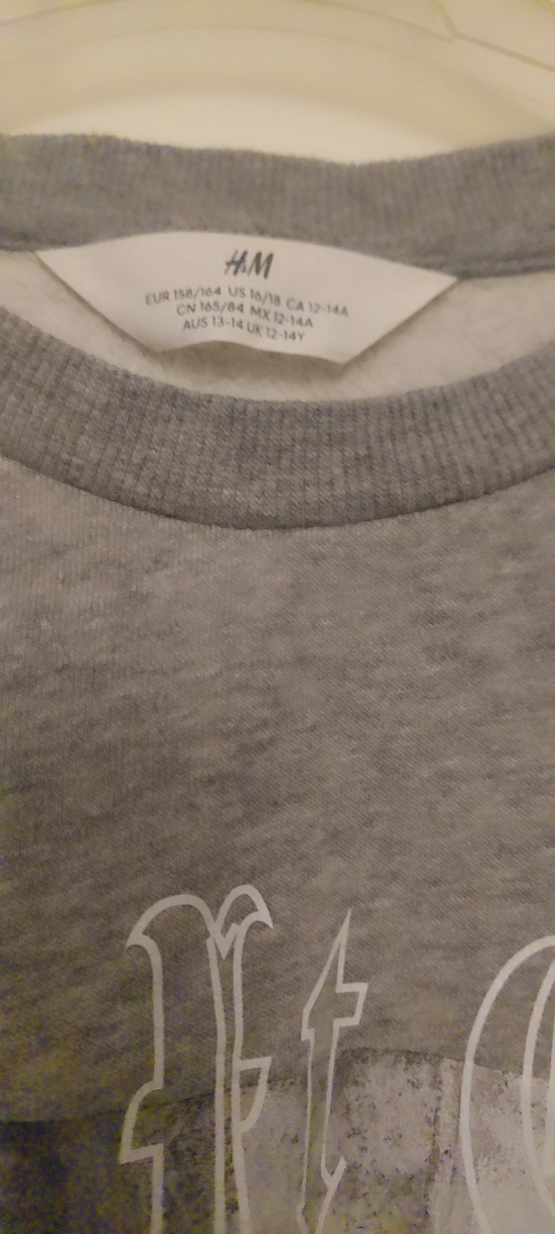 Grå sweatshirt med tryck från H&M - 1
