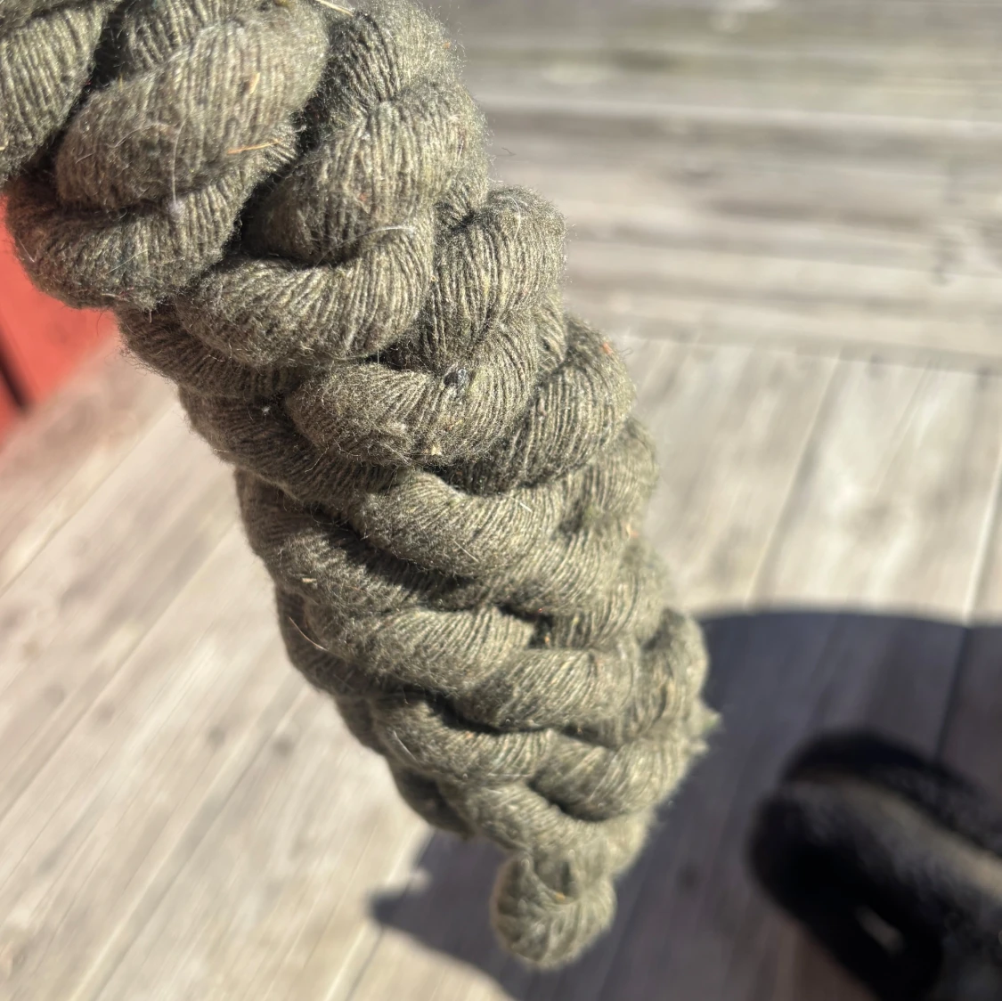 Mörkgrönt grimskaft - 2