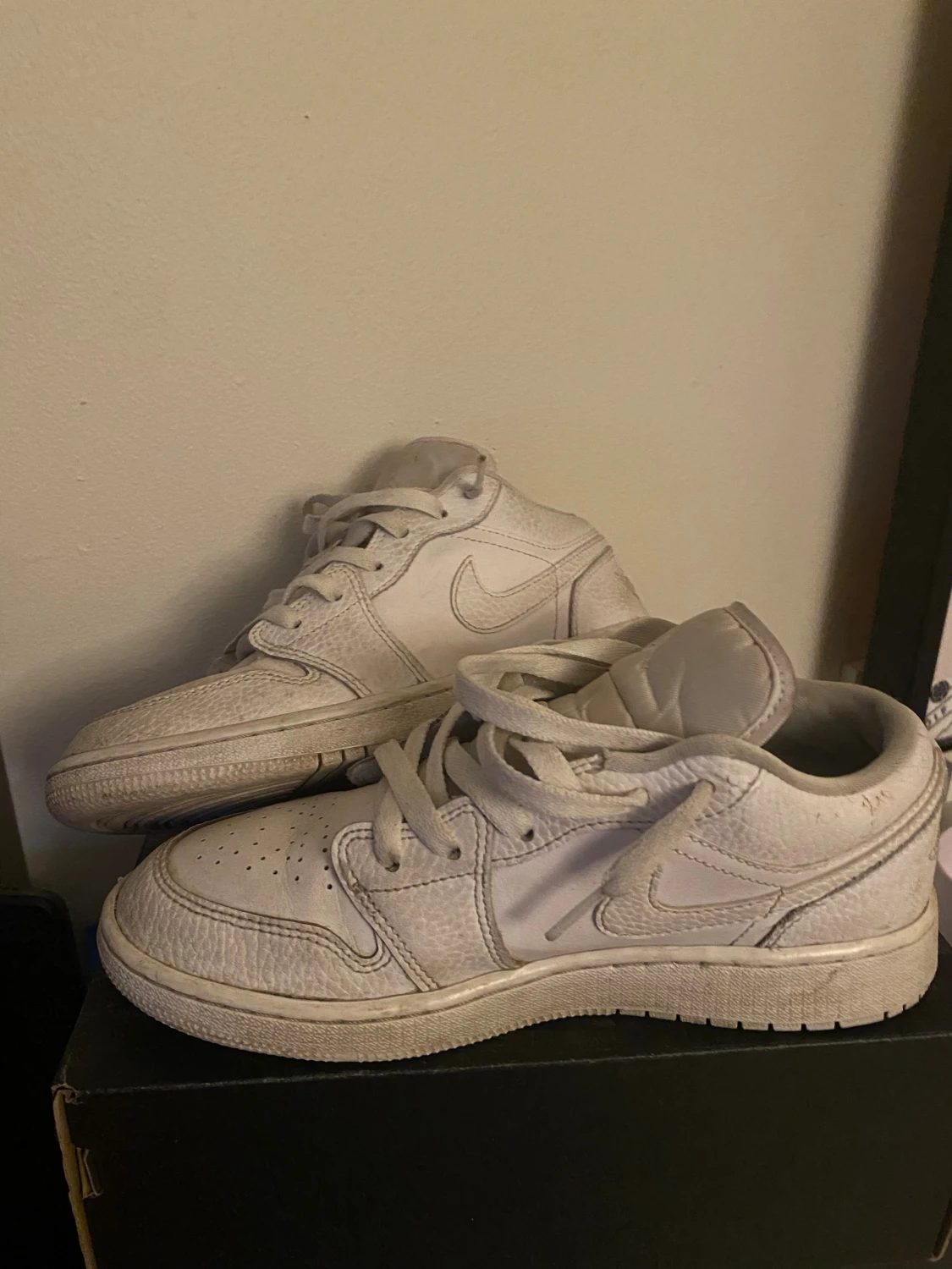 Jordan 1 vita
