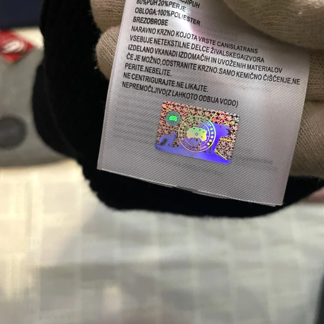 Canada goose black patch  - 1