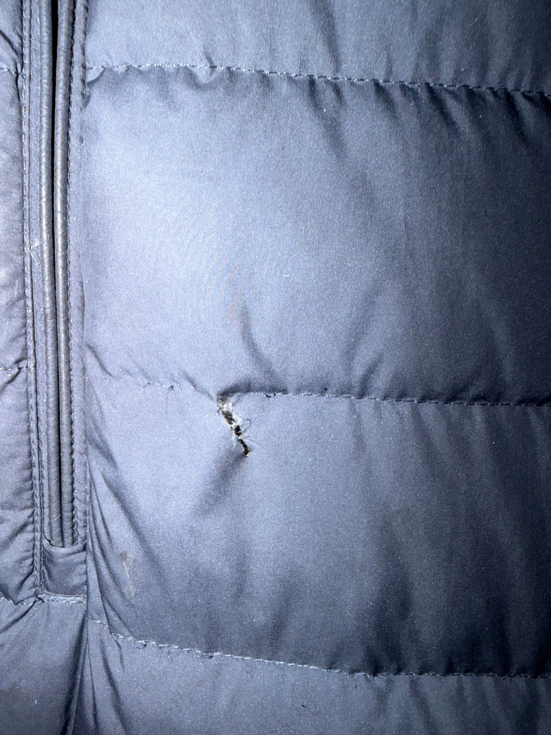 Parajumper - jacka  - 4